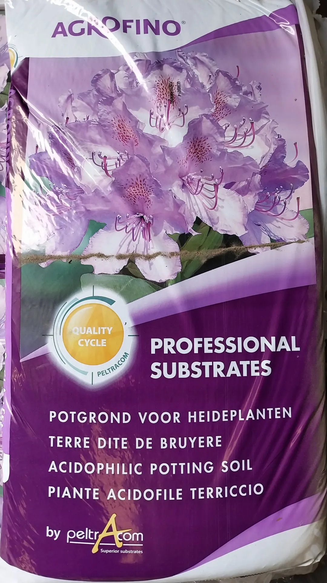 POTGROND RHODODENDRON EN HEIDE