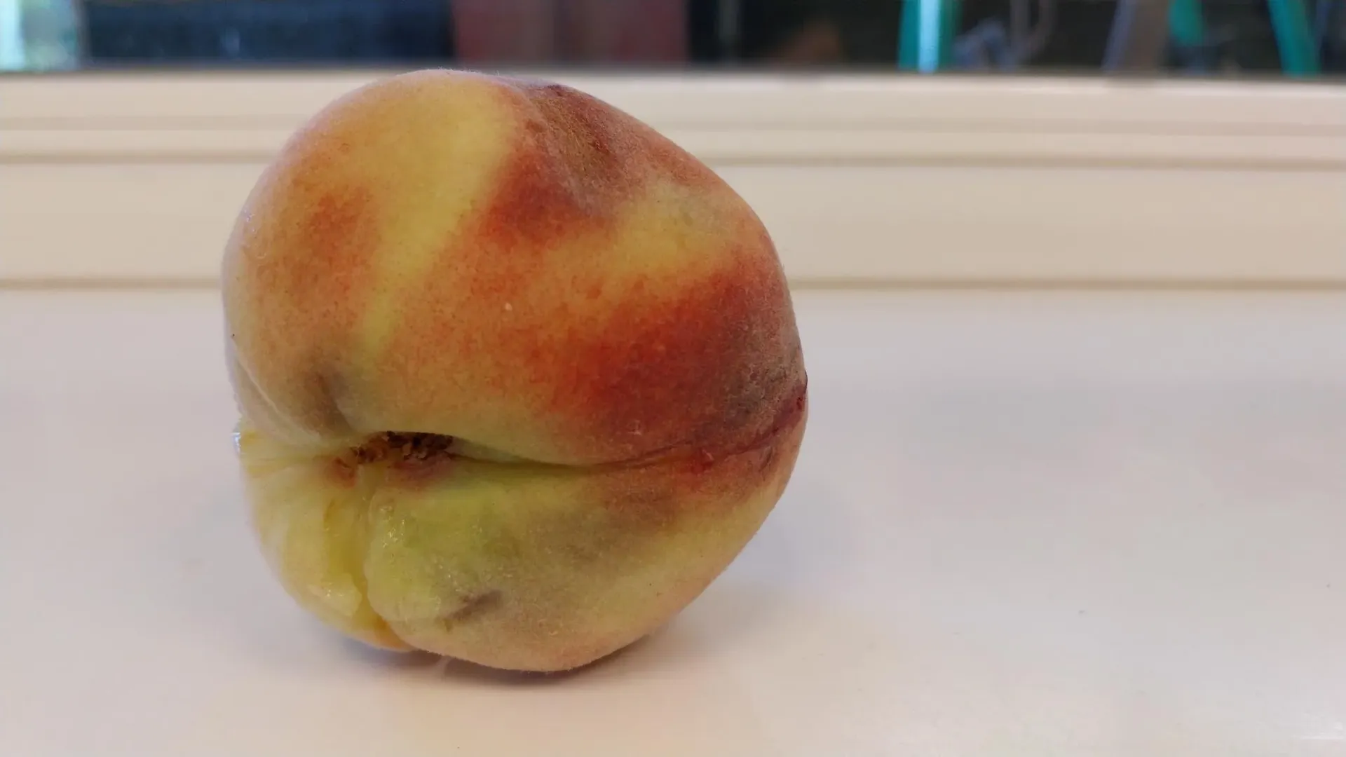 PERZIK 'FRUTERIA' JAARSE SNOER