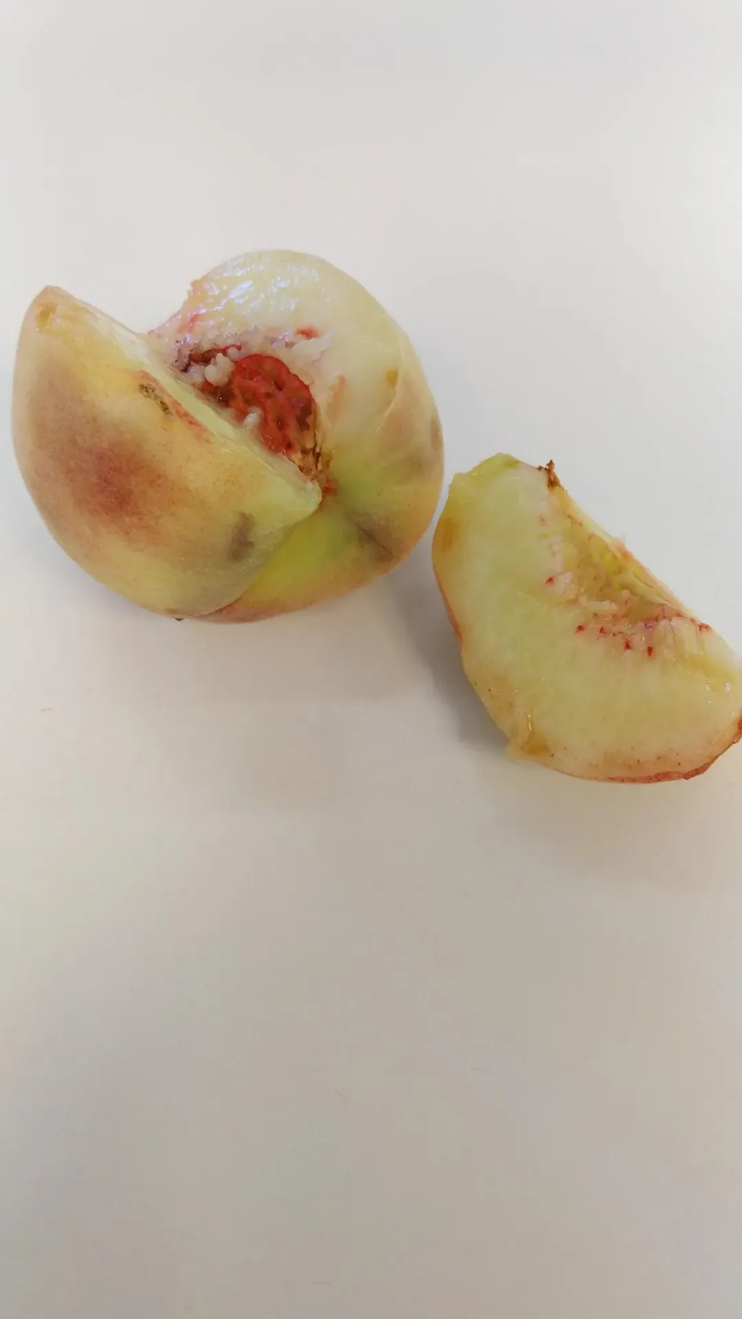 PRUNUS PERSICA 'FRUTERIA' DEMI-TIGE