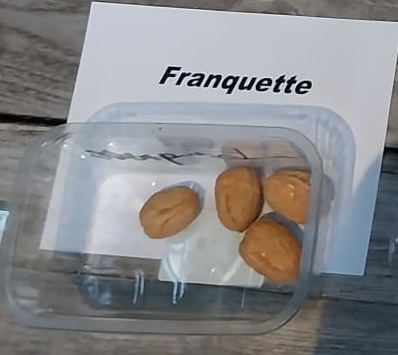 [JRFRH8] OKKERNOOT 'FRANQUETTE' HOOGSTAM (8-10 cm)