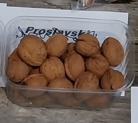 [JRPRH6] OKKERNOOT 'PROSLAVSKI' HOOGSTAM (6-8 cm)