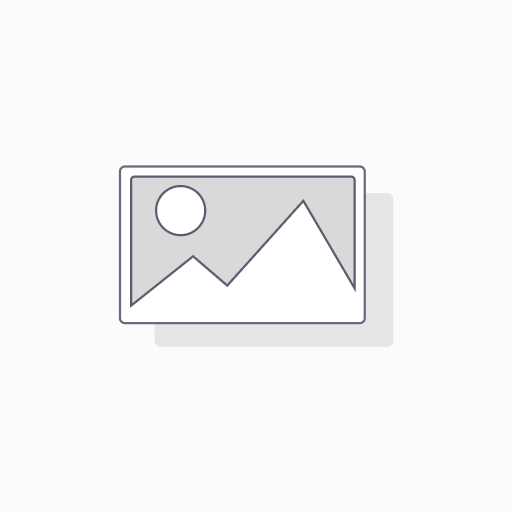 PHLOX PANICULATA 'ELISABETH'